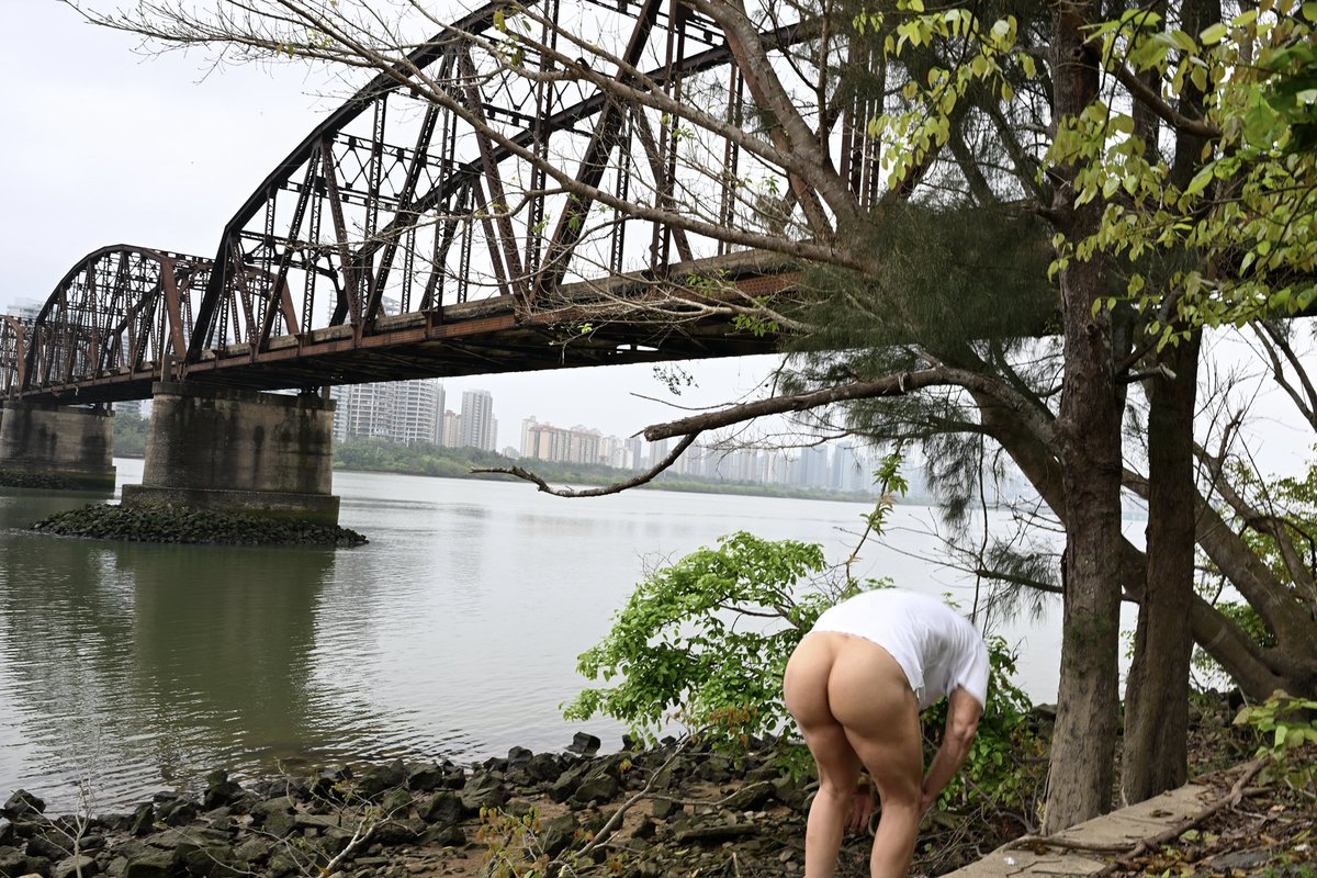 绒绒羊 tweet media