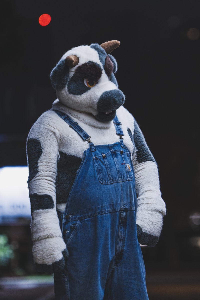 いのこ/이노코🔜FurstClass tweet media