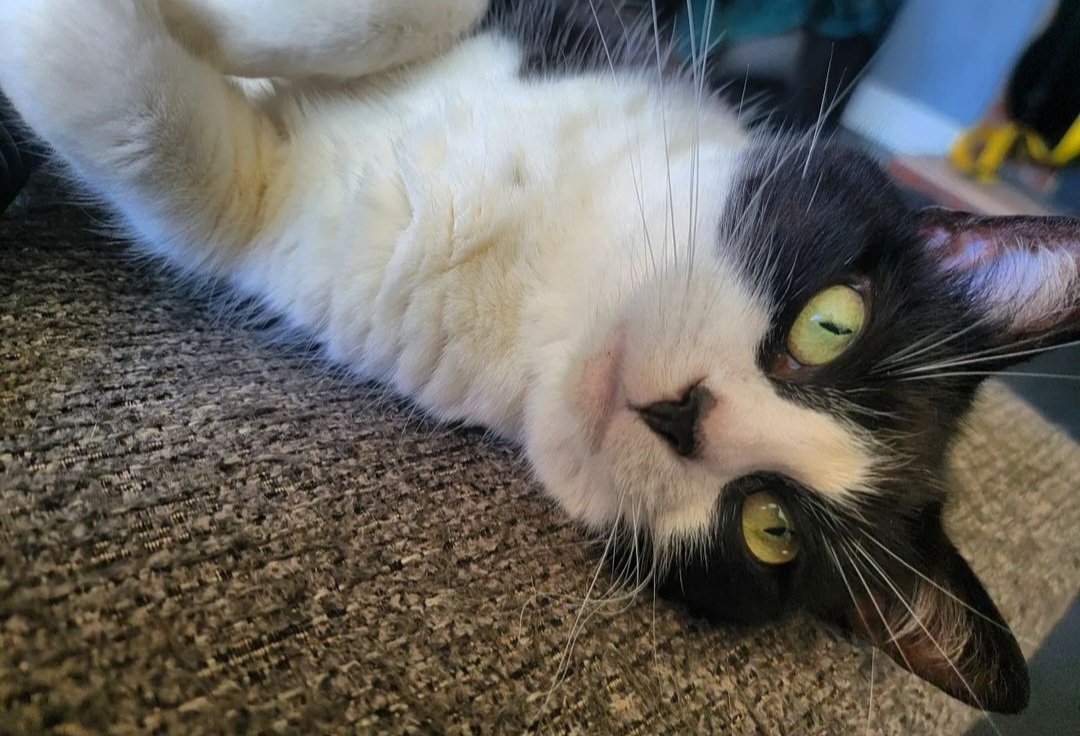 That's So Raven ✨️ tweet media