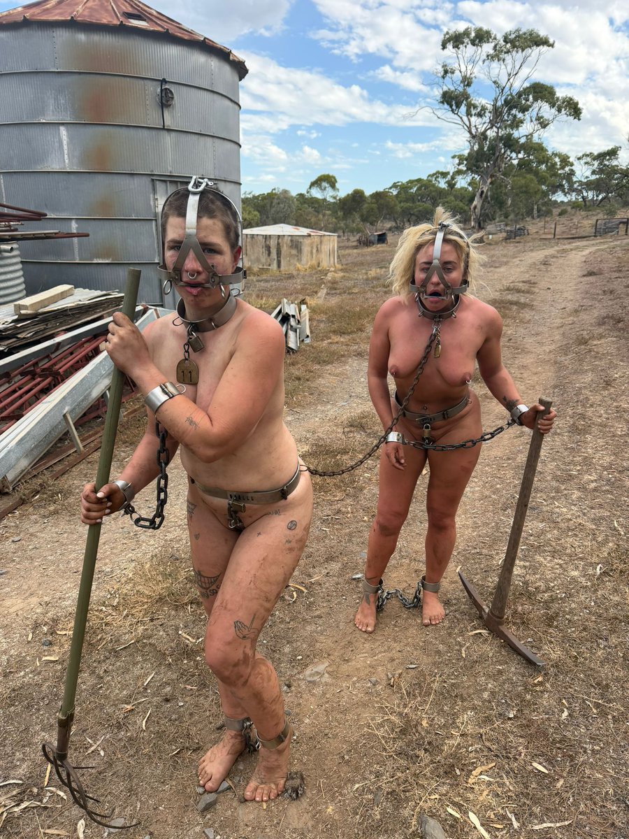 ZoeyZiptie tweet media