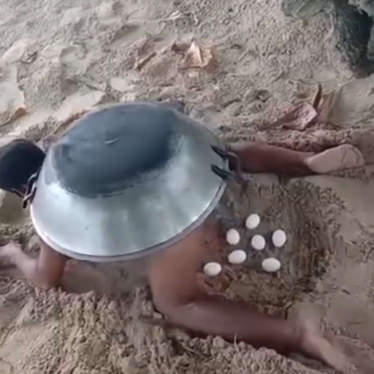 Dank jetha tweet media