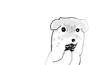 @:오늘은 리타의 행동풍부화를 위해 안 먹어본 장르 먹이기 시간을 가지도록 해요