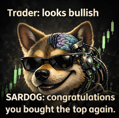 SARDOGcoin tweet media