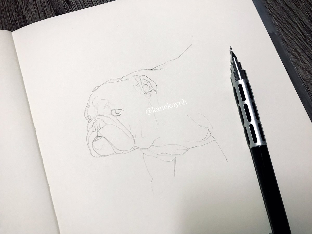 金子 羊｜Kaneko Yoh (@kanekoyoh) on Twitter photo 