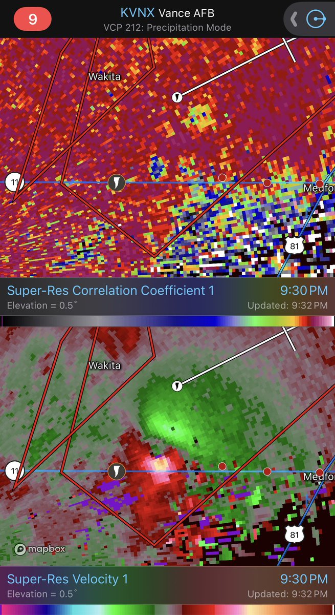 Caitlin O’Connell tweet media