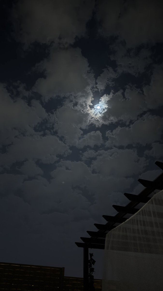 sjhope__'s tweet photo. في بحر واسع تدور فيه دوامات الأسئله عن الطريق عن الرضا عن أين امضي ولماذا 
هل هو ضياع ام حالة من الوعي؟ 
القليل من الحيرة والطمأنينه القليل من الامتنان و التساؤل 
نمضي تائهون في القليل من كل شيء 
لم تعطني الحياة جواب واحداً ثابت هي مليئه بالالوان وعند الاقتراب منها اشعر بالفزع. https://t.co/IAqWfFYCx6