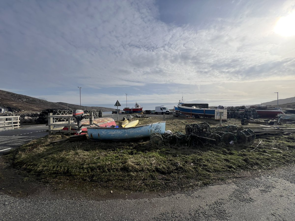 Mary Colwell tweet media