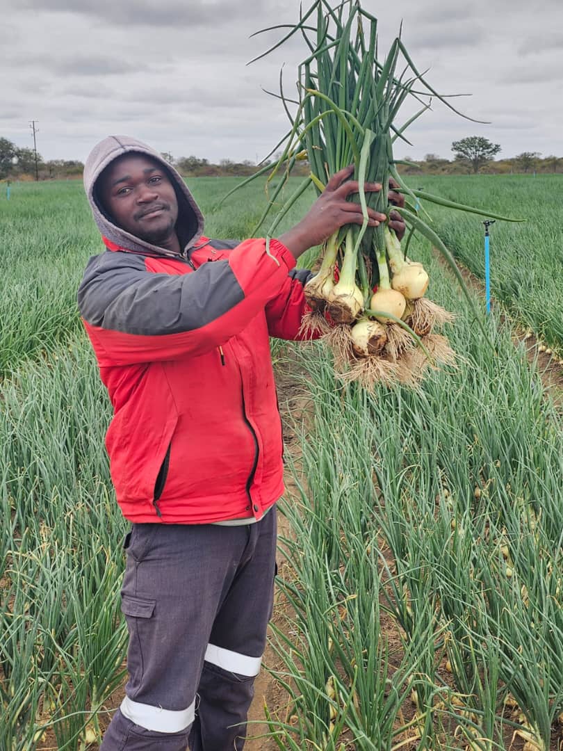 Charterseedsofficial tweet media