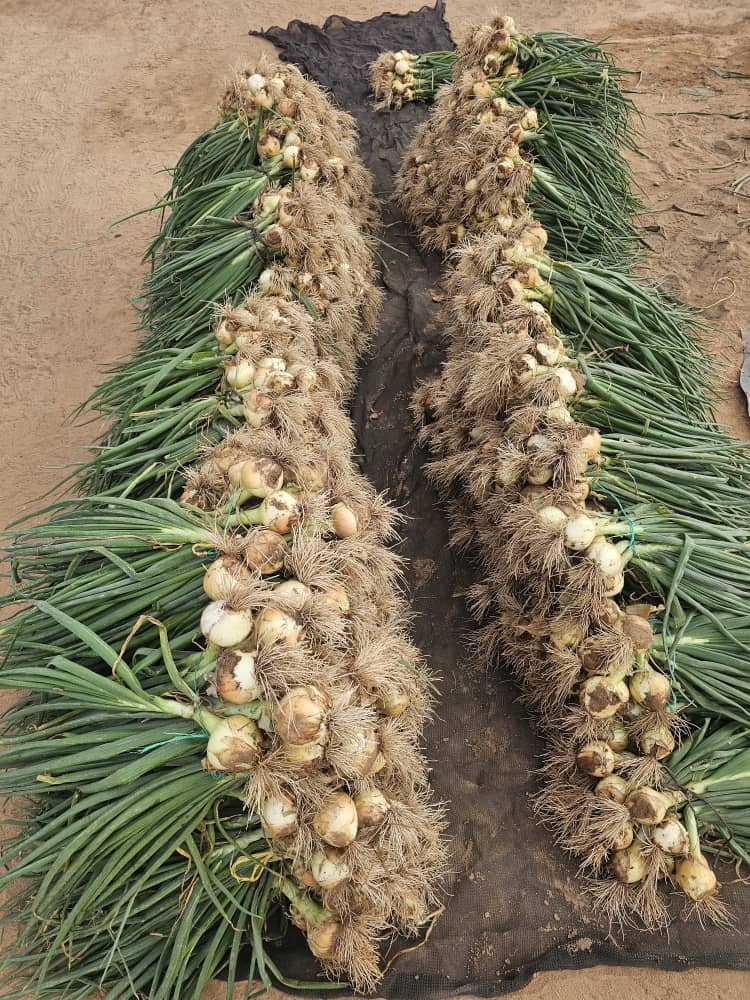 Charterseedsofficial tweet media