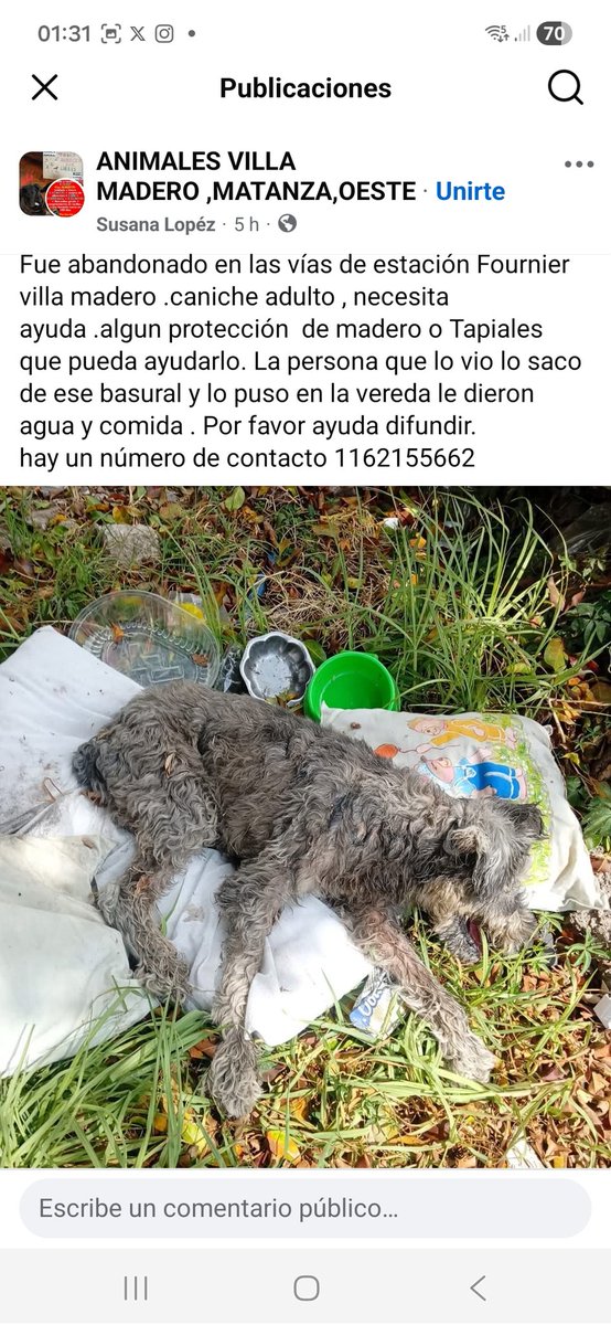 Maria Ines (@mariain77662119) on Twitter photo 