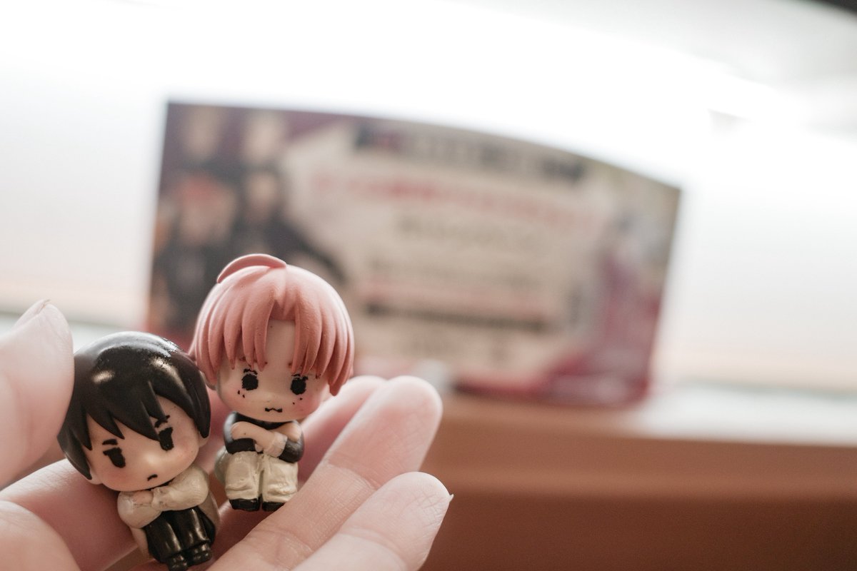 いちこ tweet media