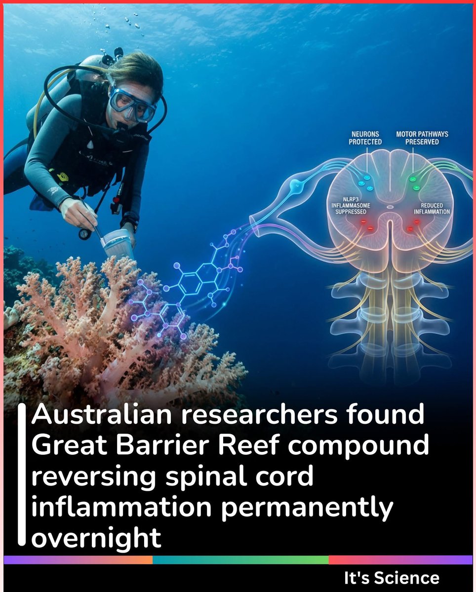 2026 Breakthrough: Australia’s Great Barrier Reef Coral Compound ...