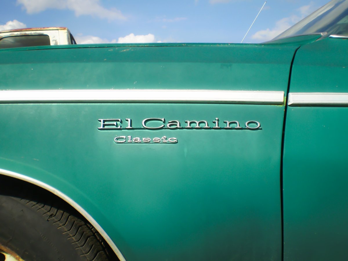 ₡ryptolust tweet media