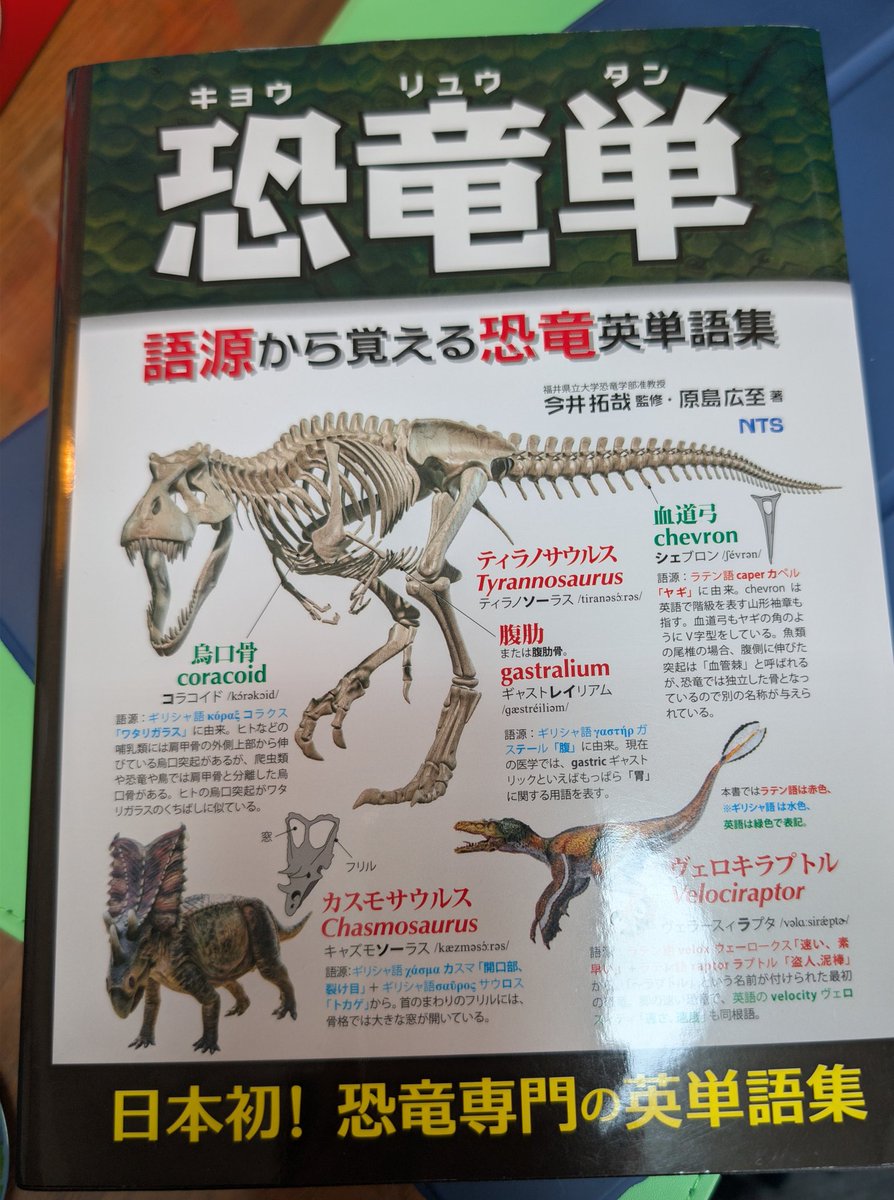 Ceratopia_C's tweet photo. 恐竜単届いたーー！！ https://t.co/0miqhRtVfP