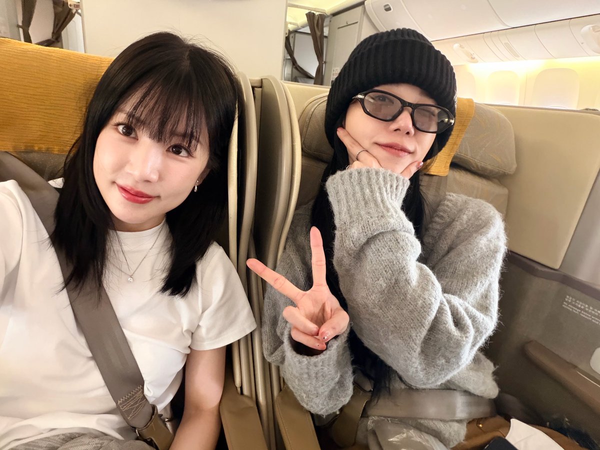 판다롱 tweet media