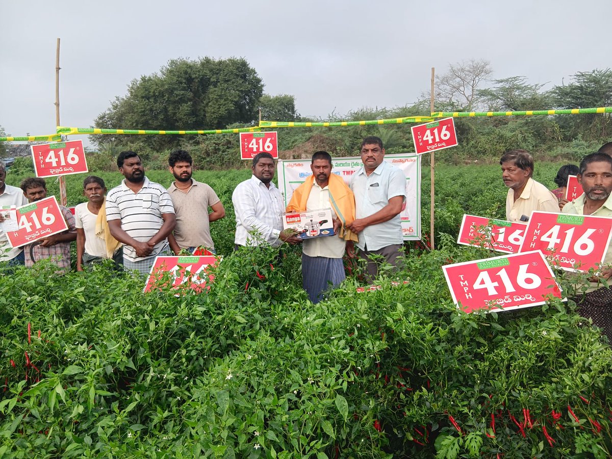 🌶️ రైతుల మొదటి ఎంపిక – త్రిమూర్తి హైబ్రిడ్ మిరప (TMPH 416) 🌶️

👨‍🌾 రైతు: కోత వెంకన్న – తిర్లాపురం, మహబూబాబాద్
💬 అభిప్రాయం: చాలా బాగుంది

✅ పచ్చి &amp; ఎండు మిరపకు అనుకూలం
✅ 115–120 రోజుల్లో కోత
✅ 9–10 సె.మీ. ఆకర్షణీయమైన కాయలు
✅ అధిక దిగుబడి

📞 వివరాలకు: 9393802802