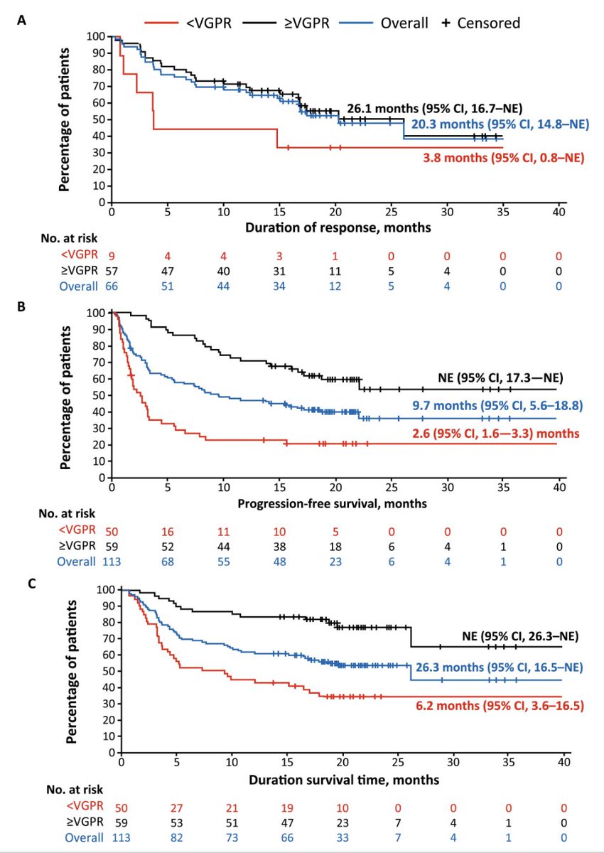 Robert Z. Orlowski tweet media