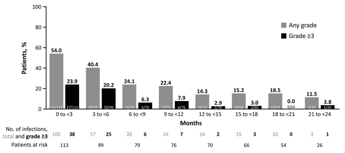 Robert Z. Orlowski tweet media