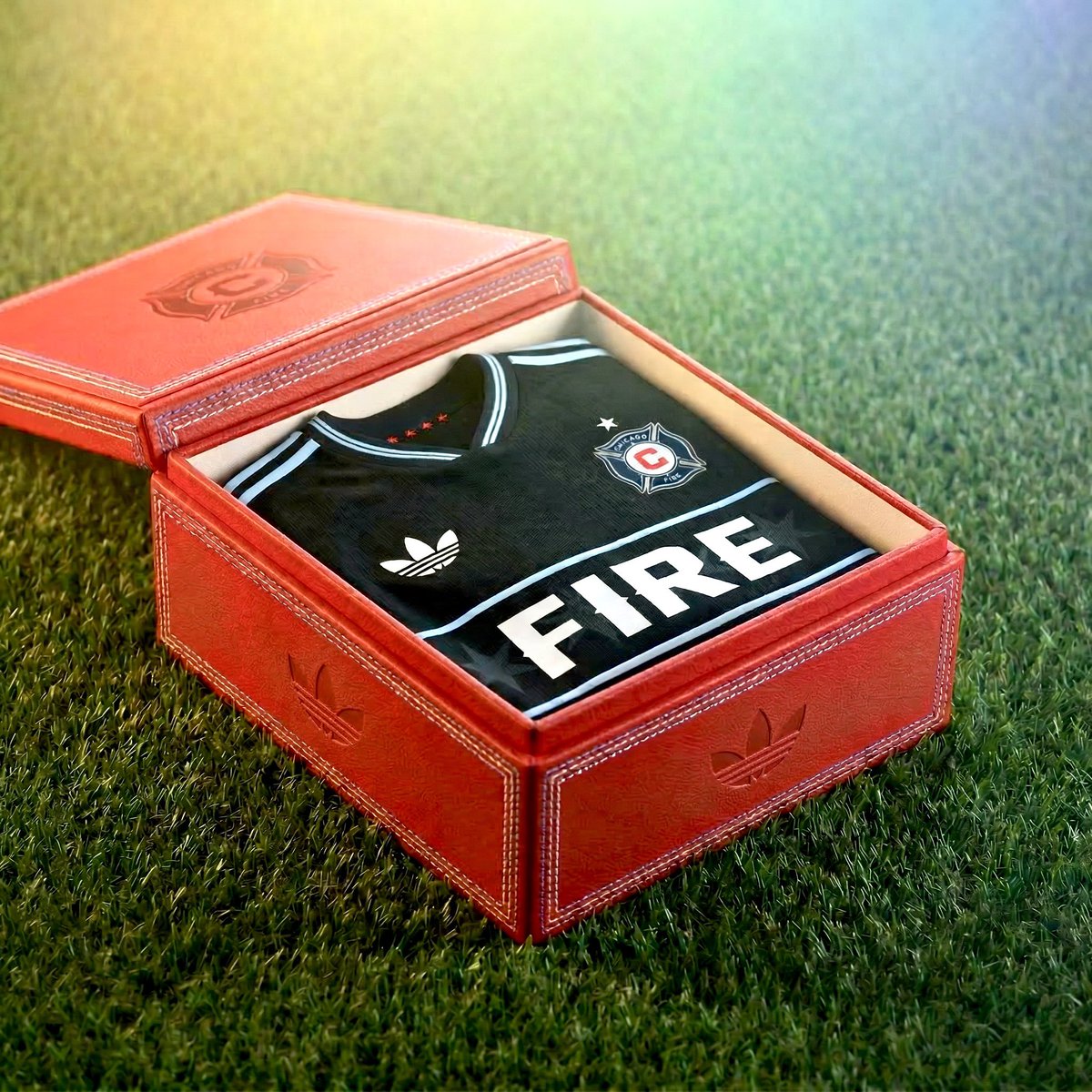 Daniel Fridman tweet media