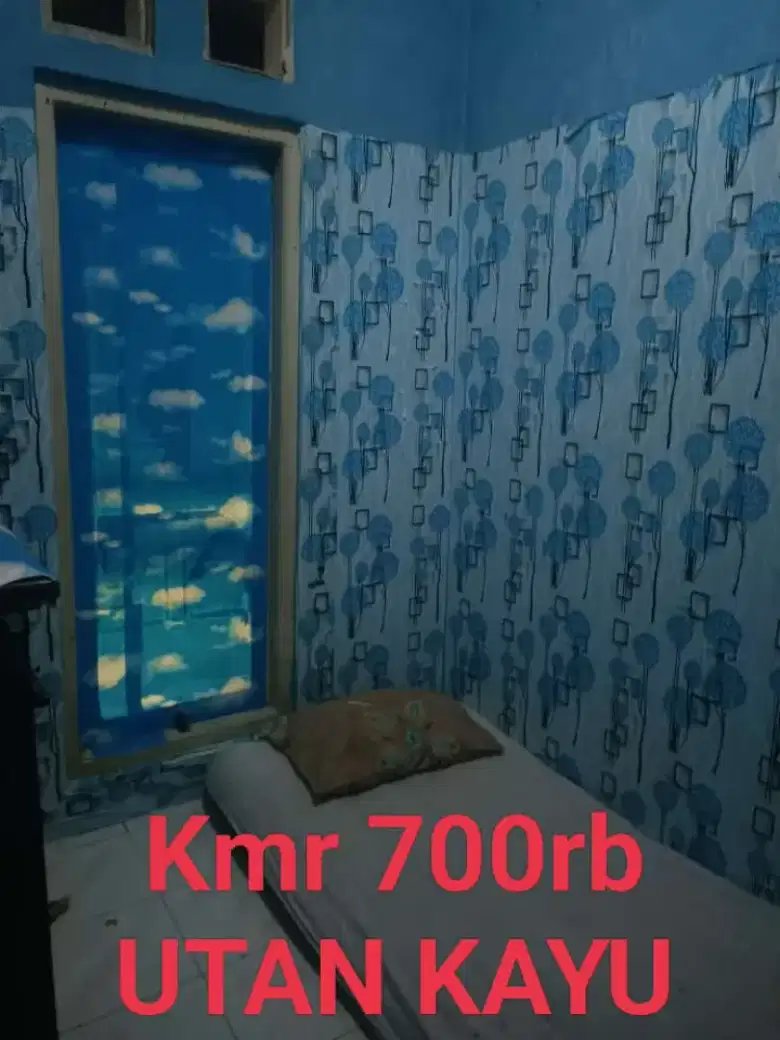 Kost Sewa Bulanan Gratis tweet media