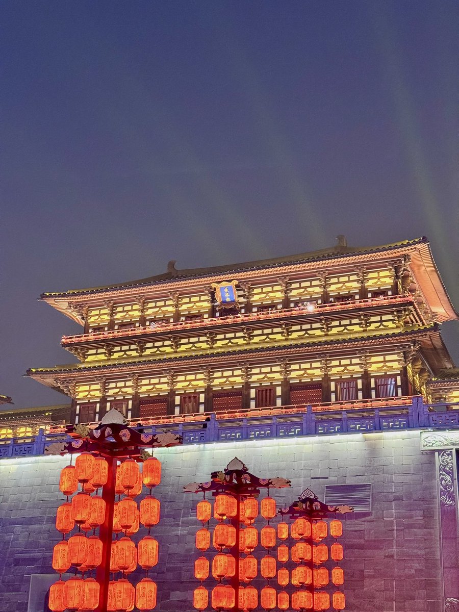 🐾是霖霖呀🐾 tweet media