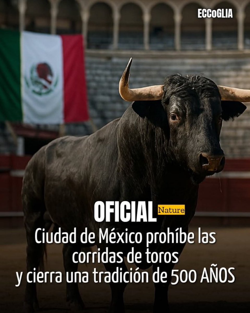 btoxic🍥🦭 🇲🇽☭ #LaPatriaEsPrimero tweet media