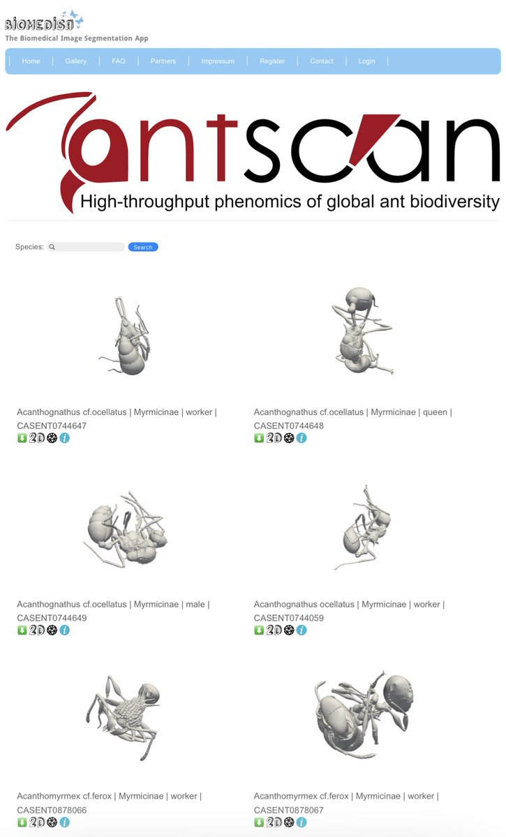 2000点以上のアリの3Dモデルを収録した巨大なデータベースを作成し、誰でも自由に利用できる形で公開されたそうです。