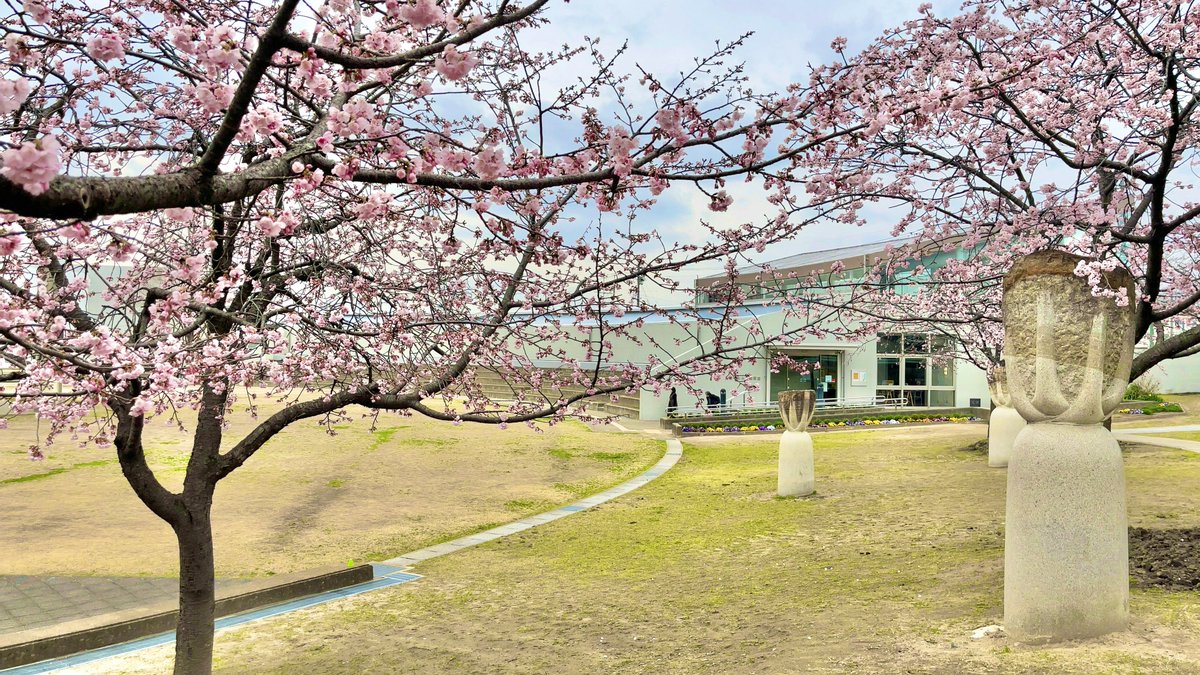 kh_museum's tweet photo. はるひ夢の森公園ではカワヅザクラが咲き始めました🌸
当館では今週から4/19まで貸ギャラリー展示となります。週替わりで様々な個人・団体の皆さまによる展覧会が開催されます🎨
https://t.co/NRmYWbMogE https://t.co/npnxpQ3J9n