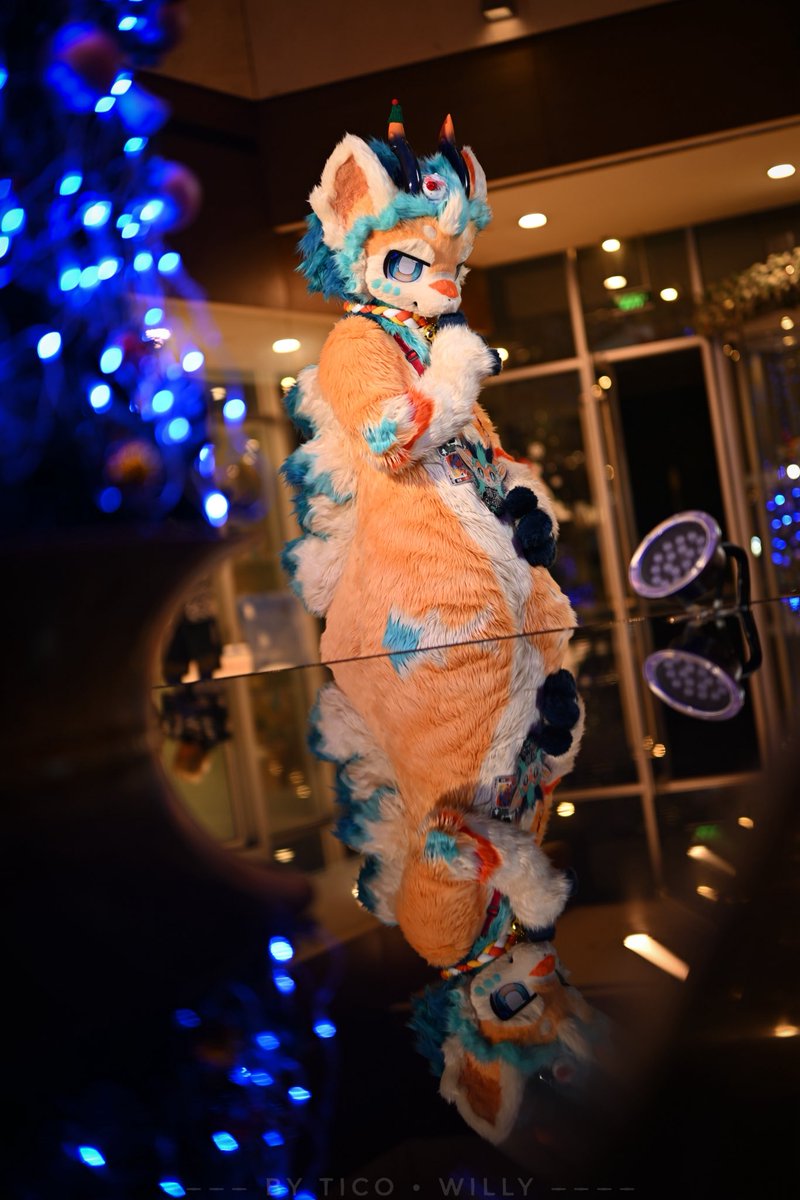 八云🔜51HiFurry tweet media