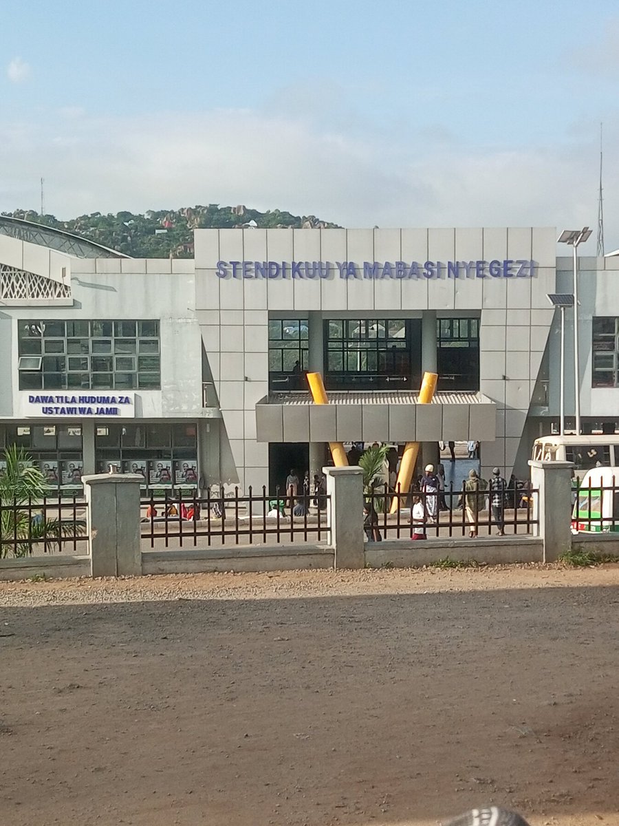 ROSALINE🦋 tweet media