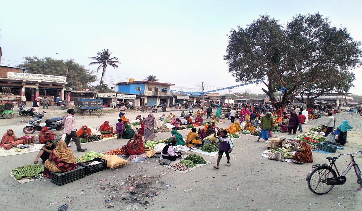 Saurav Dhakal tweet media