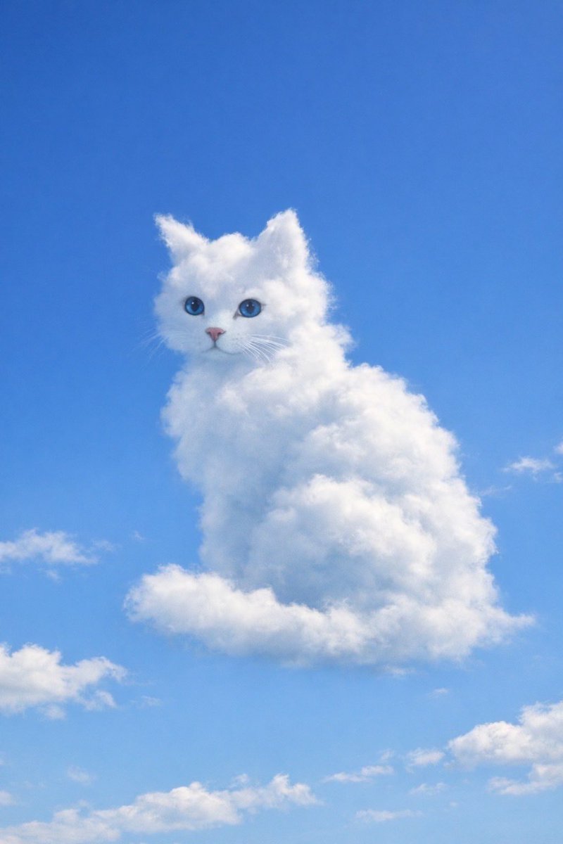nekocomplete's tweet photo. No.004|雲猫

生息地：
風の穏やかな空

生態：
・ふとした空の気まぐれで生成される
・ほどよく晴れている時によく観測される
・夜になると空に溶けて消える

※長くても数分しか姿を保たない。

#まぼろし猫図鑑 https://t.co/dkgkAotJpm