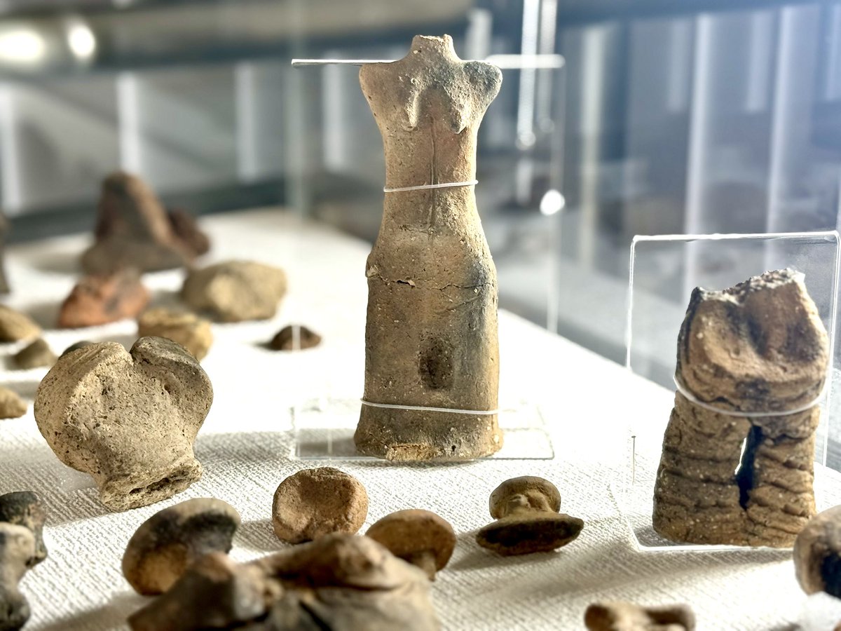 蔵王町谷地遺跡は縄文時代中期の蔵王山麓有数の拠点集落跡。大量の縄文
