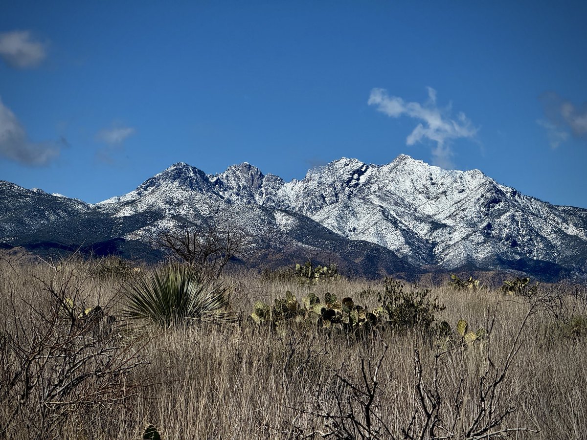 adubbsphx's tweet photo. @brianovak What a difference a year makes. Same trail had snowy views in early March last year! https://t.co/wbGna1X2JX