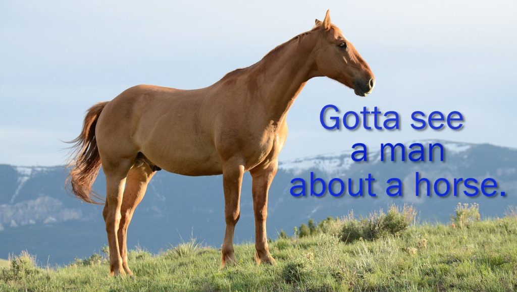 Chef Joe Bandler tweet media