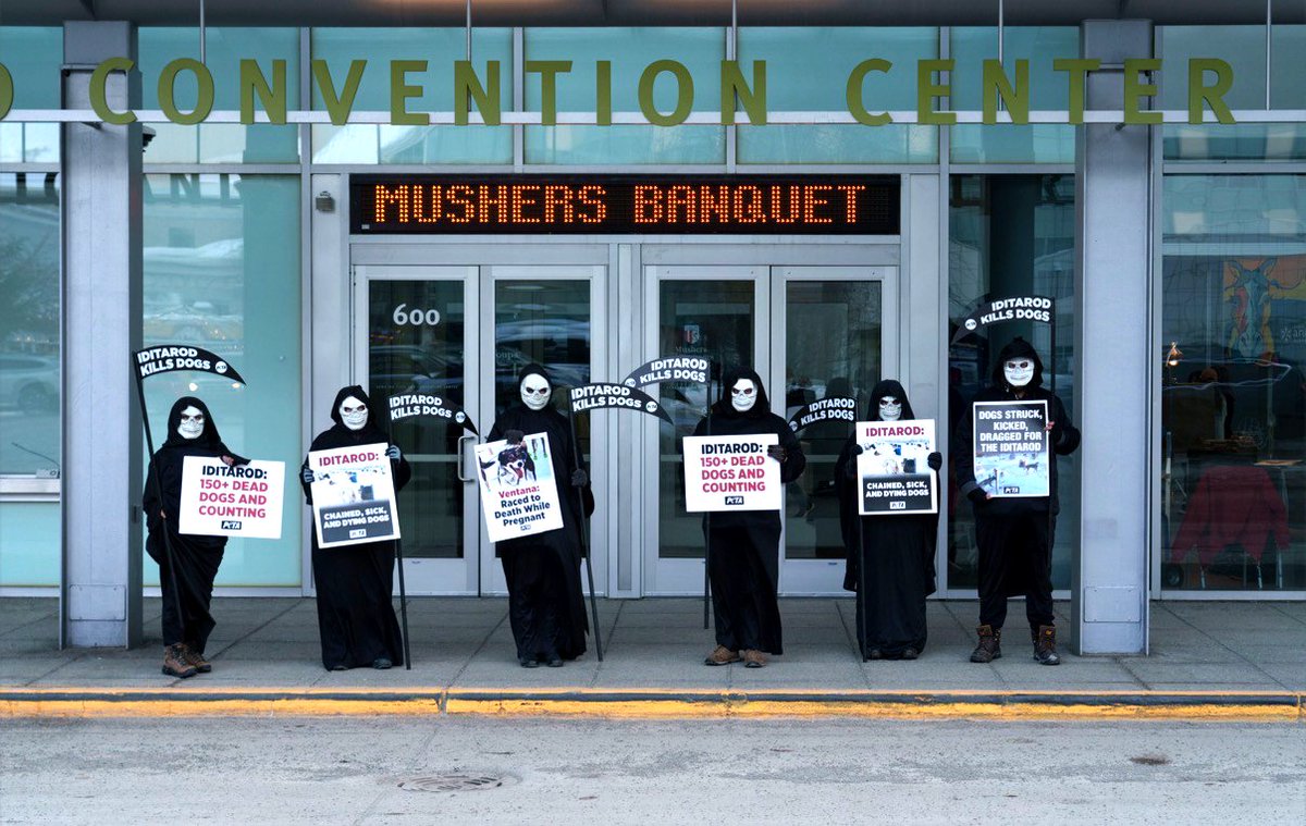 The Musher's Banquet officially launches a race that forces dogs to run nearly 1,000 miles through freezing temperatures, often leaving them with torn paws, stomach ulcers, persistent lung damage, and orthopedic injuries. The Specter of Death stands outside because the Iditarod