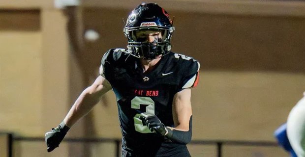 Lions247 tweet media