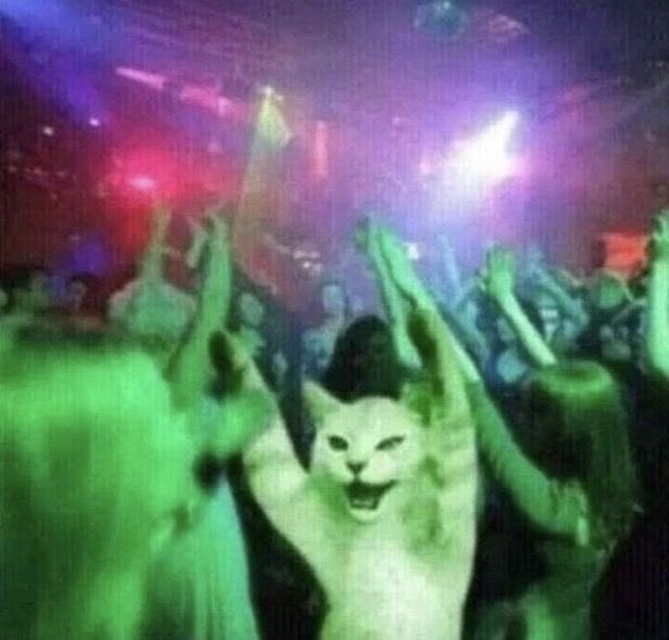 coming up roses                                    pop