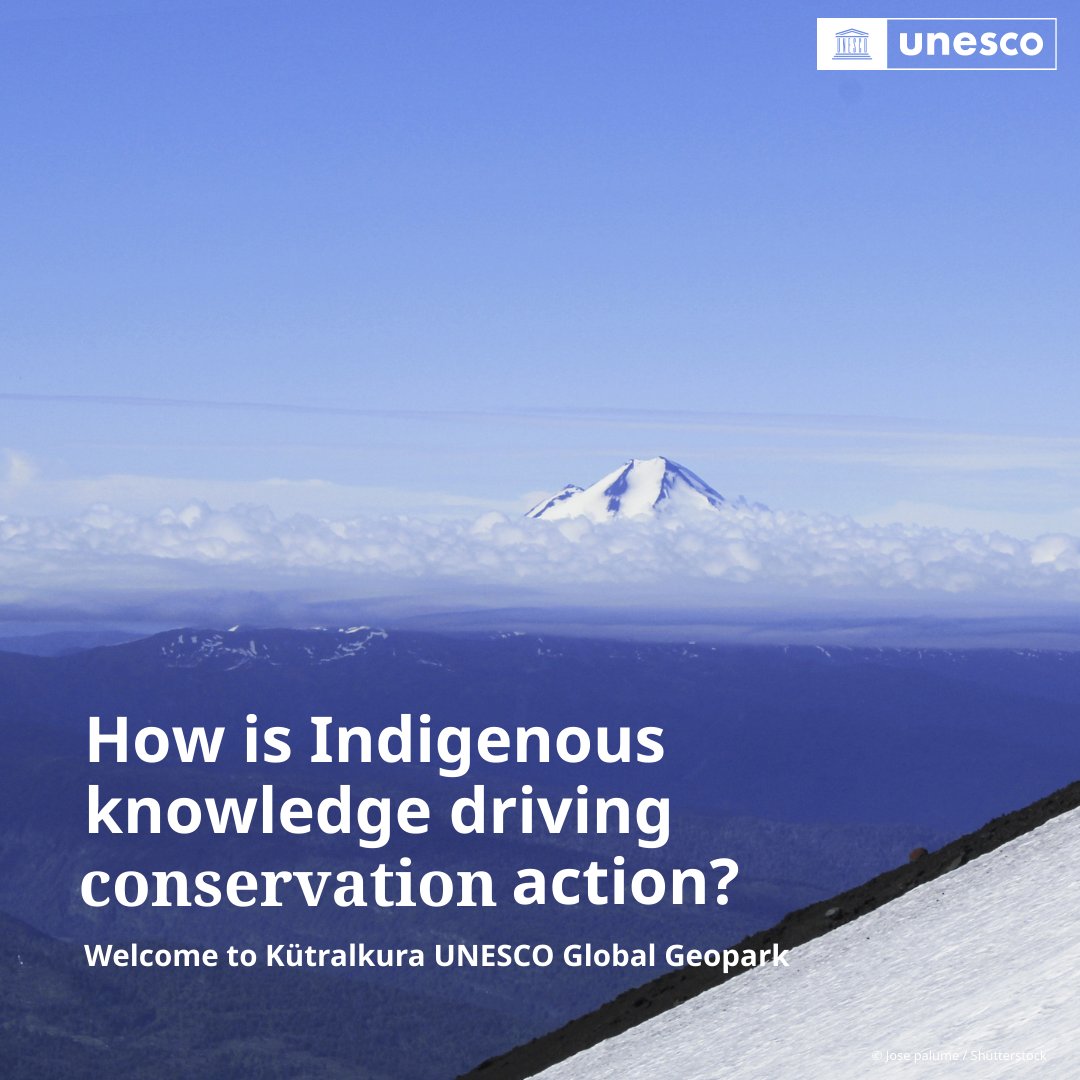 UNESCO 🏛️ #Education #Sciences #Culture 🇺🇳 tweet media