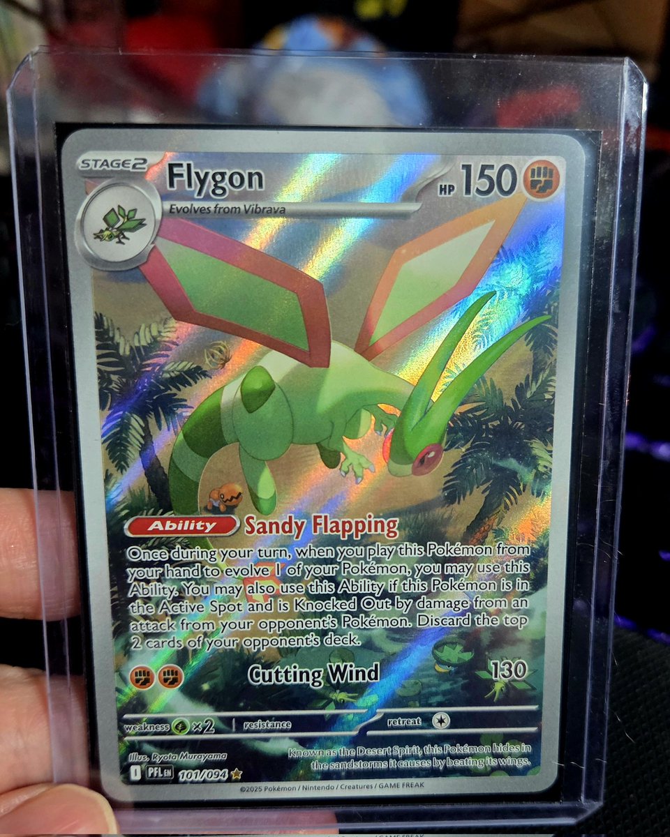 SharkCuteriee tweet media