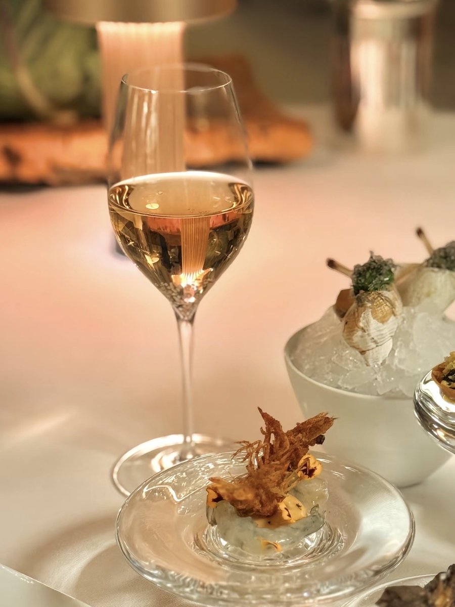 迷你小猫🐱 tweet media