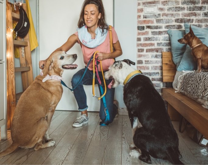 StopEatingDogs_'s tweet photo. In recognition of Professional Pet Sitters Week we are sharing the #PetSitter Interview Checklist from Pet Sitters International. ❤️🐾

https://t.co/mWSGPgNB5I

📷 Pet Sitters International 

#PetSafety  #DogsAreFamily #CatsAreFamily #DuoDuoProject https://t.co/7yOcwR5LiS