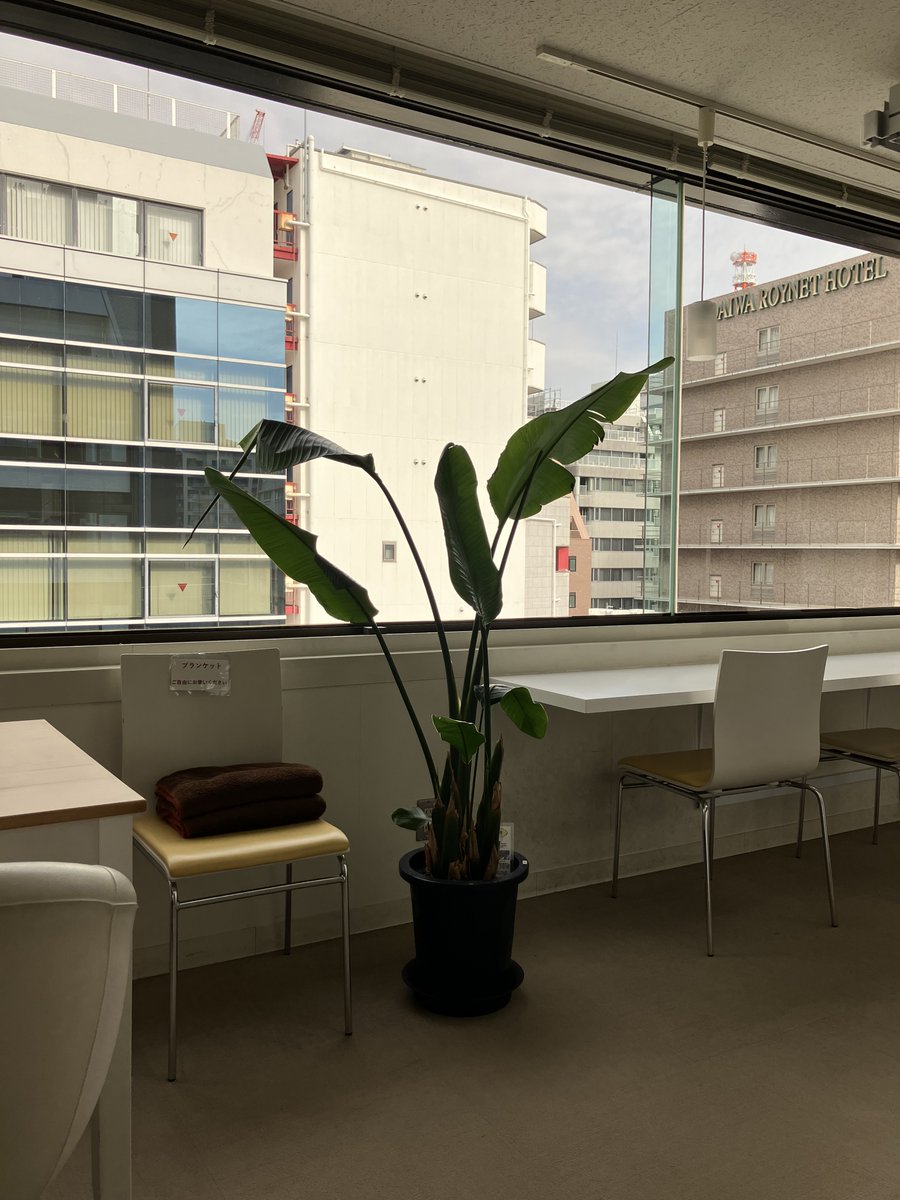 colocoコロコ/神戸市三宮駅シェアオフィス＆コワーキングスペース tweet media