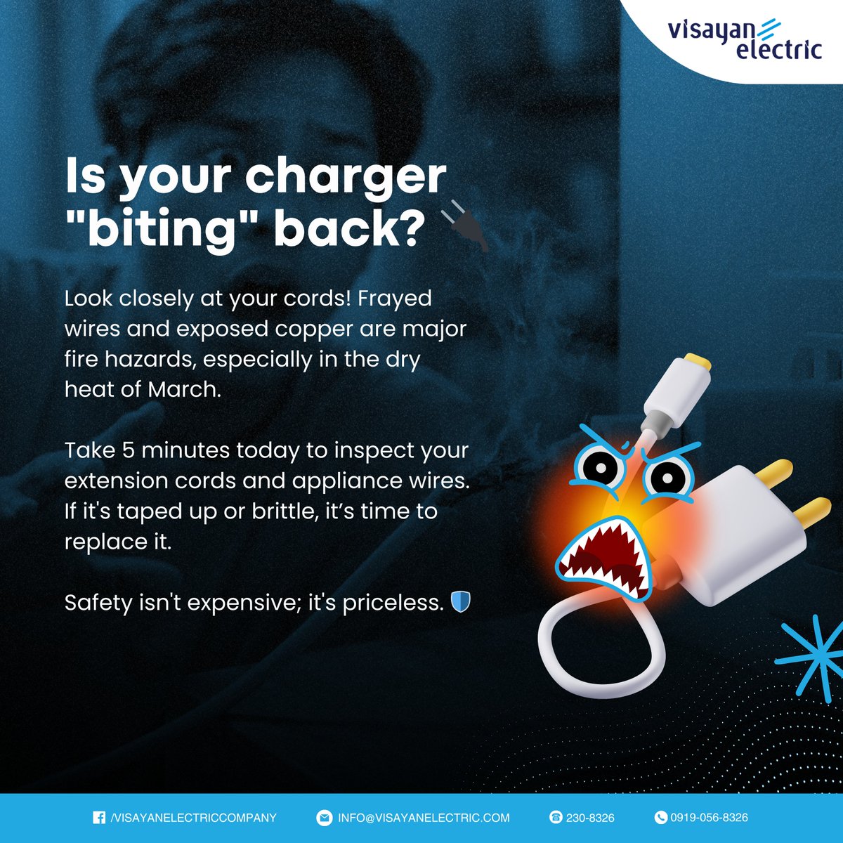 Visayan Electric Co. tweet media