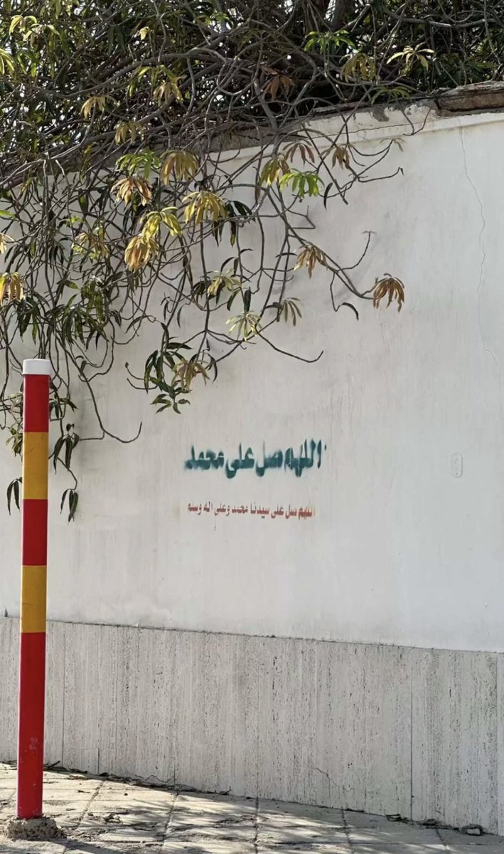 جُويّزهَ tweet media
