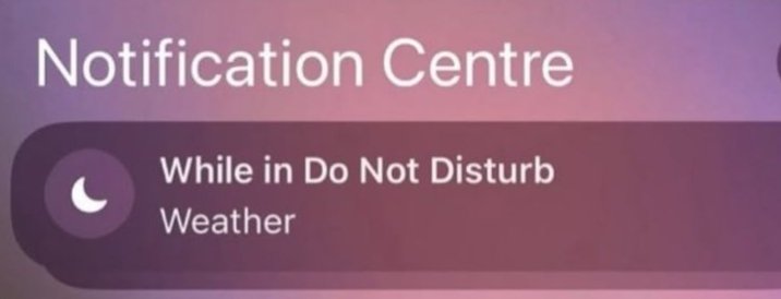 ♰ 𝙽𝚊𝚎𝚝𝚘 tweet media