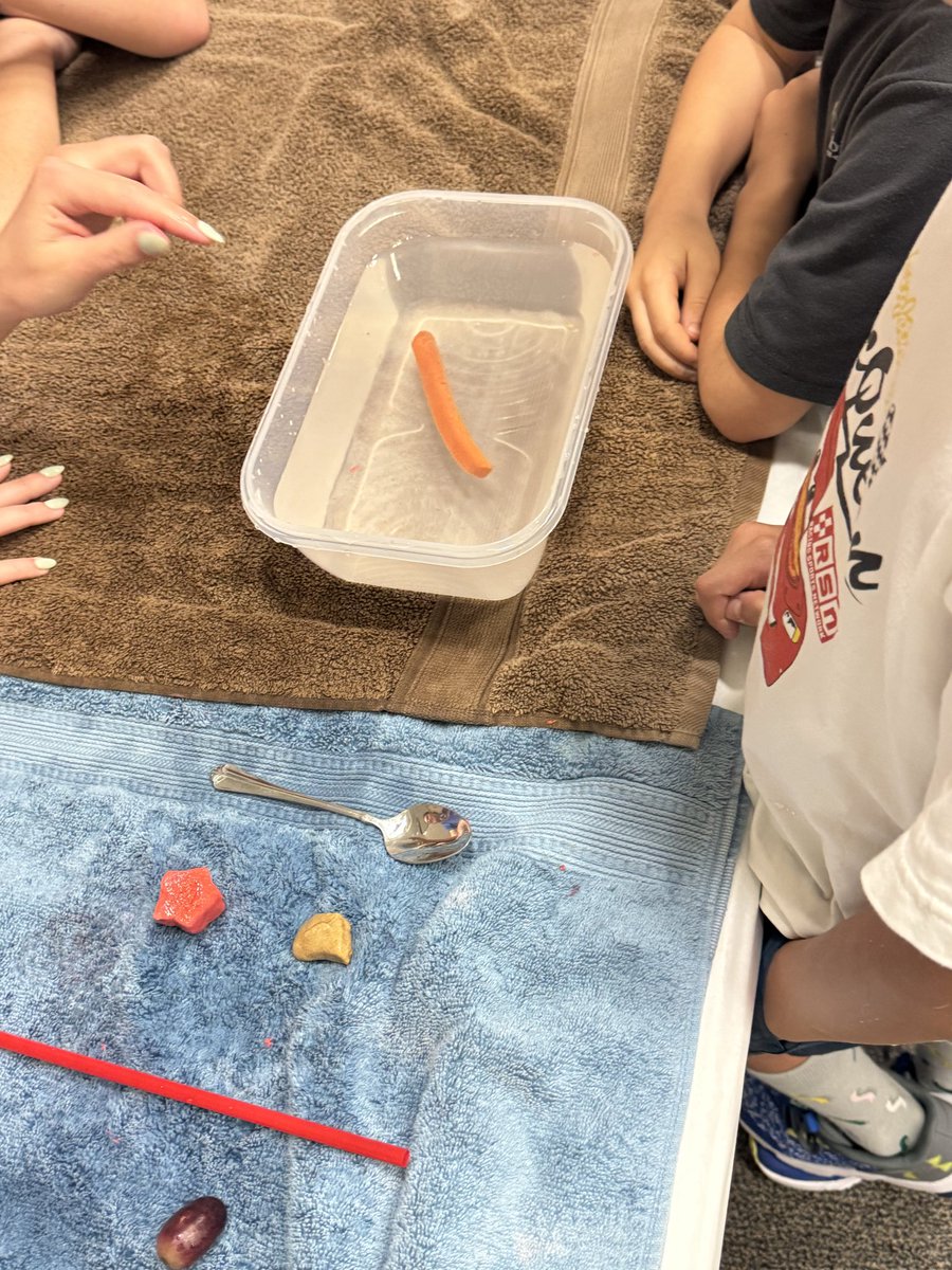 Alison Pennington tweet media