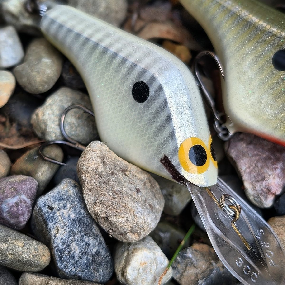 ルアー千一夜🌛公式 (@lure1001) / Posts / X