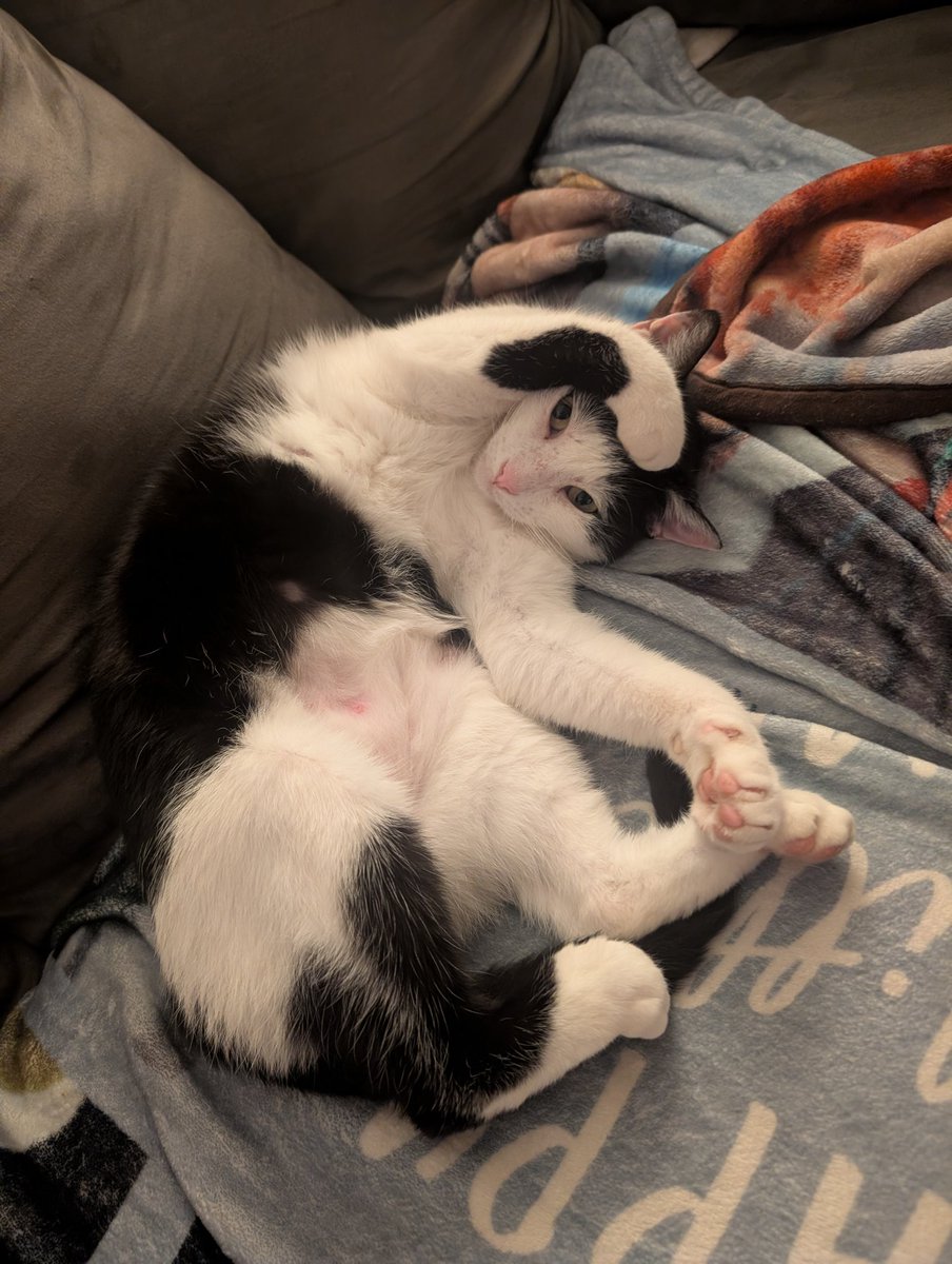 TPF_Darling tweet media