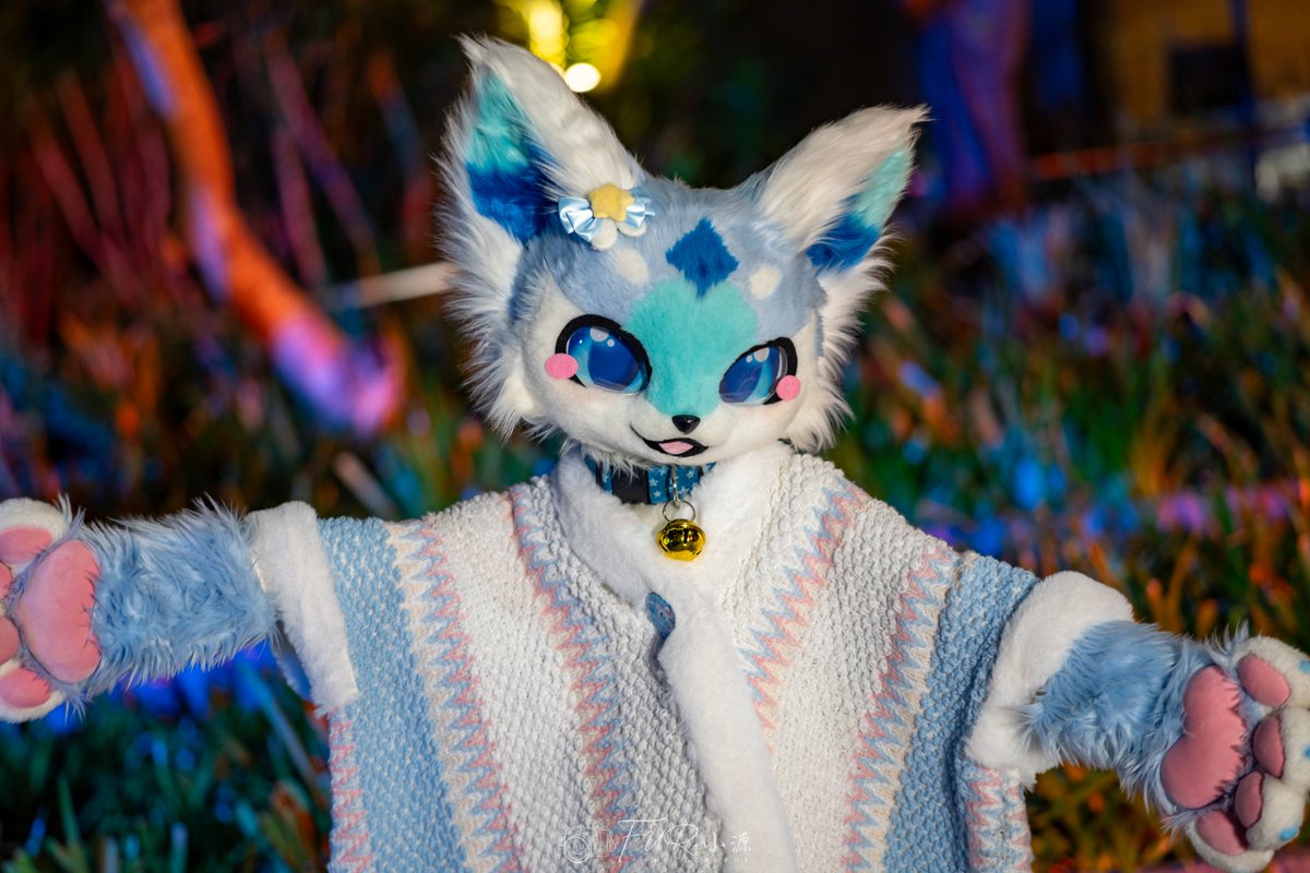 深海蓝蓝鱼w!🐬 tweet media